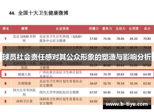球员社会责任感对其公众形象的塑造与影响分析