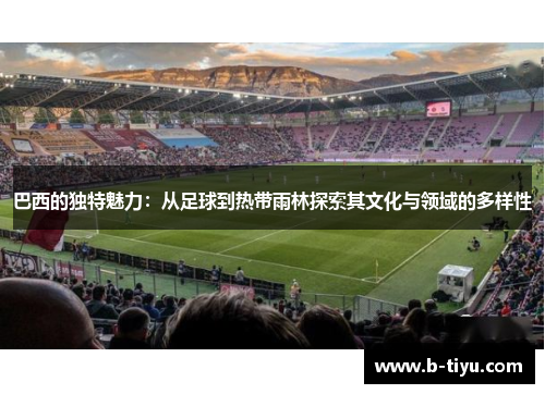 巴西的独特魅力：从足球到热带雨林探索其文化与领域的多样性